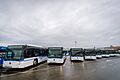 Poza autobuze tg mures-1