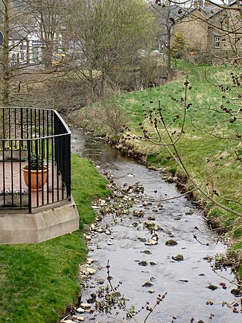 Randal Carr Brook (geograph 1816684).jpg