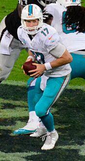 Ryan Tannehill 2014