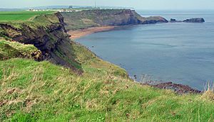 Saltwick Bay - geograph.org.uk - 768353.jpg