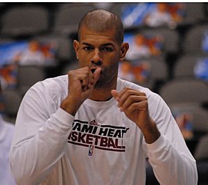 Shane Battier Heat 2012