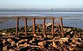 Solway viadust remains 1