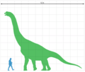 Soriatitan golmayensis size