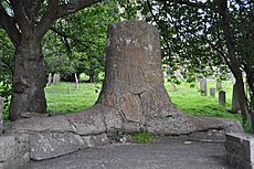 Stanhope Tree - geograph.org.uk - 2531669