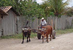 Talanga road Honduras