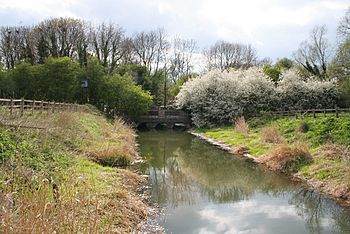 The River Gwash, near Manton, Rutland - geograph.org.uk - 160675.jpg