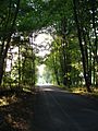 Two footpaths meet road - geograph.org.uk - 1458840