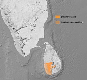 Urocissa ornata distribution map.jpg