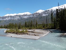 Vermilion River - Kootenay NP BC