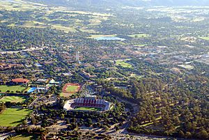 View Stanford