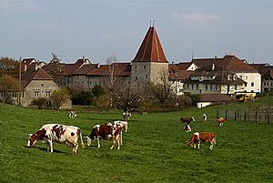 Wiedlisbach-Wohnturm