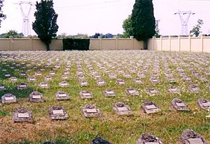 AUT-HUN Cemetery Doberdo