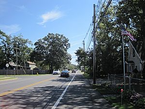 Adamston, NJ.jpg