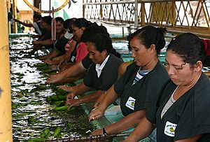 Banana sorting