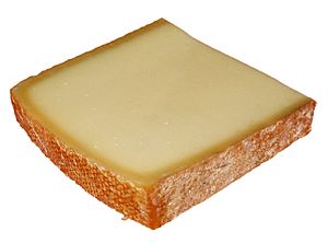 Bergkäse2