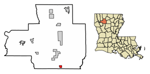 Location of Saline in Bienville Parish, Louisiana.