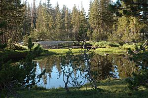 Cathedral Lake pond