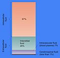 Cellular Fluid Content