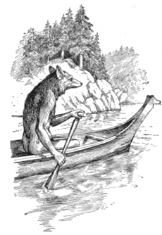 Coyoteinacanoe