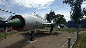 Czech MiG-21 at CAM