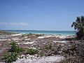 Egmont Key03