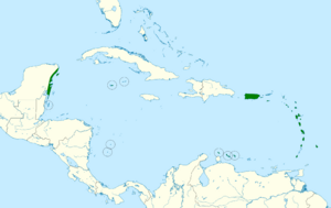 Elaenia martinica map.svg