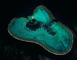 Elizabeth Reef