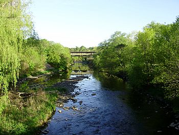 Etobicoke Creek Toronto.jpg