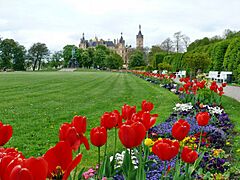 Frühling im Schlossgarten