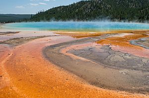 Grand Prismatic Spring, Yellowstone NP