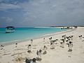 Guanaguanares Cayo de Agua