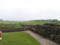 HadriansWallNearBirdoswald01