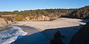 Jug Handle Beach.jpg