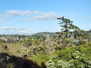 Kaipatiki Creek