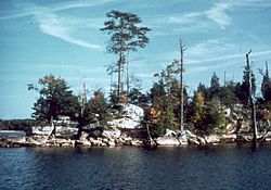 Laurel River Lake Kentucky