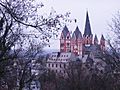 Limburger Dom vom Greifenberg