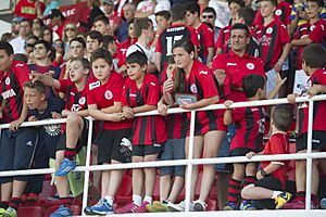 Lincoln Red Imps fans, 2014