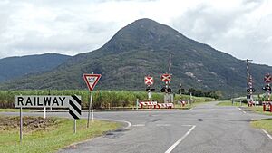 Looking west along Hesp Road across the North Coast railway line, Aloomba, 2018 01