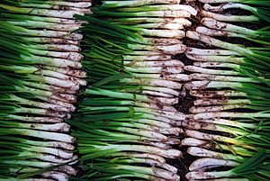 Paret de calçots.jpg