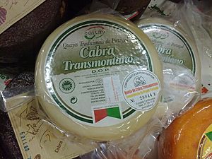 Queijo de cabra transmontano