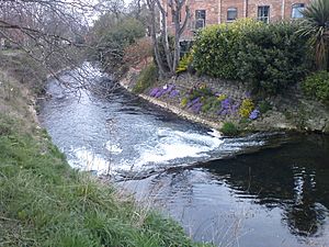 River witham