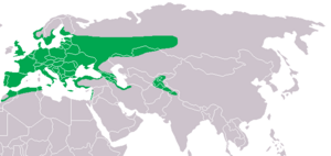 Strix aluco distribution map.png