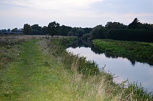 The Riddy and River ivel