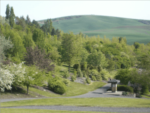 UI-arboretum-spring-moscow-id-us