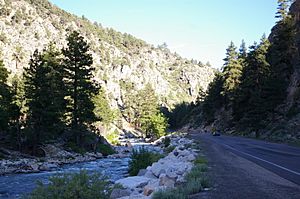 US395WalkerRiver