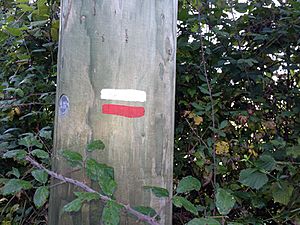 Waymarking yes Via Podiensis