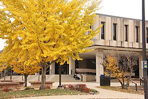 Wescoe Hall in Autumn 2021