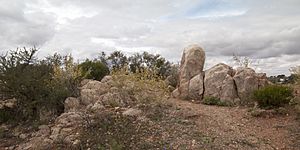 White Rocks Reserve