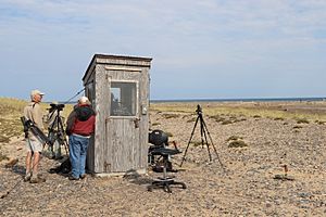 Whitefish Point Bird Observatory.jpg