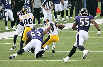 Willie Parker and Cedric Wilson